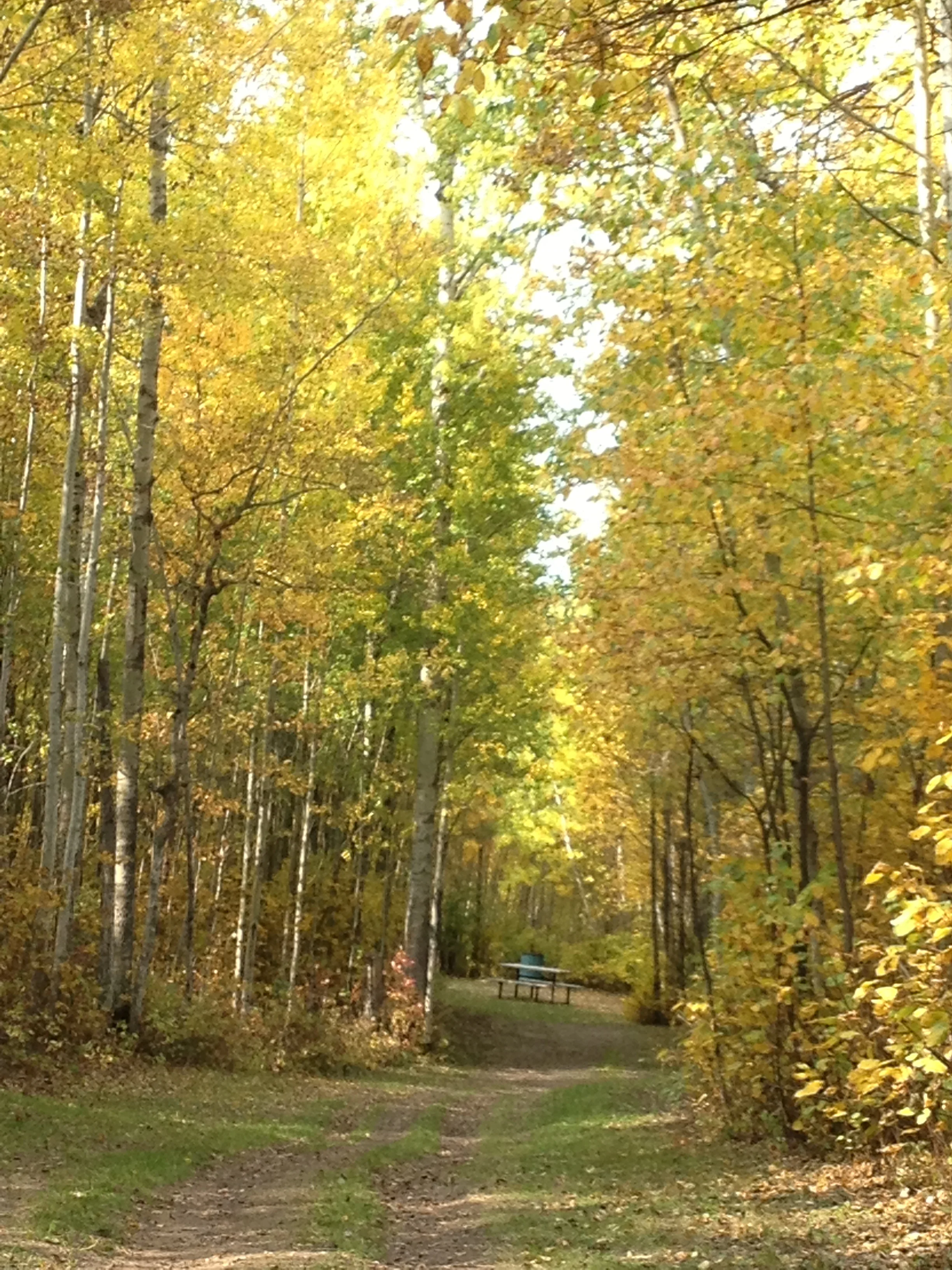 These Poles Were Made for Walking