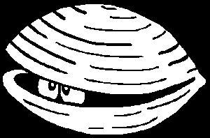 Clamshells: The Best Exercise You're Probably Doing Wrong...