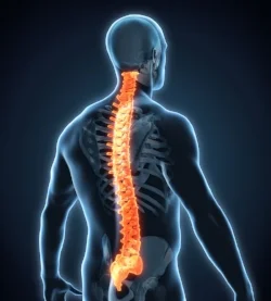 Taking care of your spine
