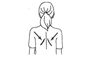 scapular-retraction.jpg