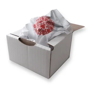 miniature mailing box