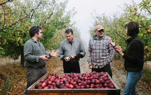 cider2.jpg