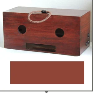 Woodgrain Guitar Buddy Reverb-6.jpg