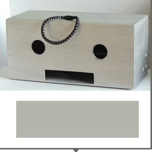 Silver Guitar Buddy Reverb-6.jpg