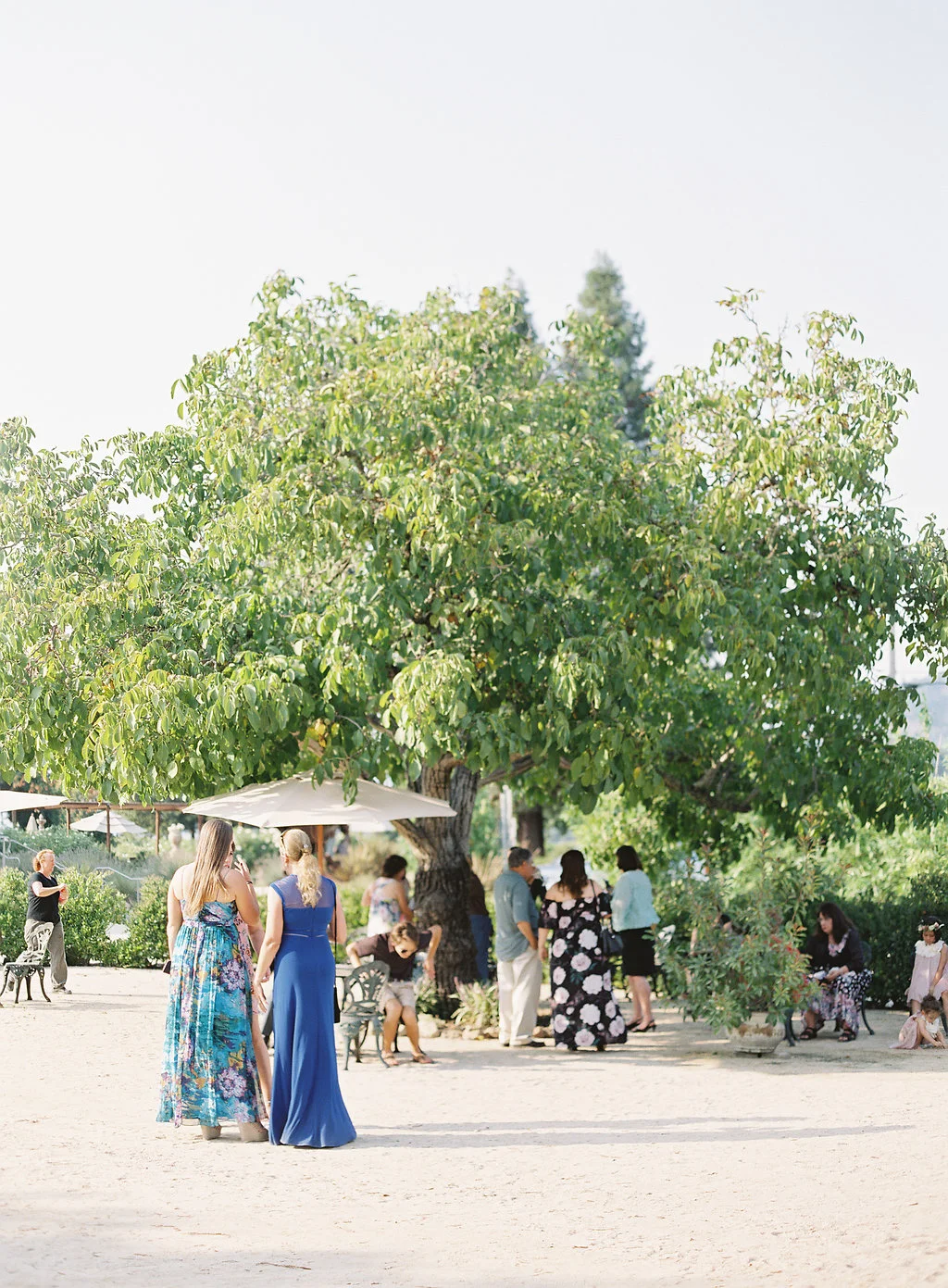 Jen+Matt-Soda-Rock-Wedding-Photographer-napa-sonoma(376of666).jpg