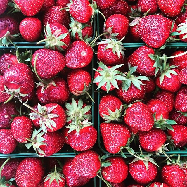 OPENING DAY!!! 🍓🍓🍓
.
.
.
#woodbridgevillagefarmersmarket #woodbridgeontario #cityofvaughan #farmersfeedcities #goodthingsgrowinontario #supportlocalfarms #buylocal #eatlocal #eatfresh #eatontario #ontariogrown #ontariofresh #freshproduce #farmingi