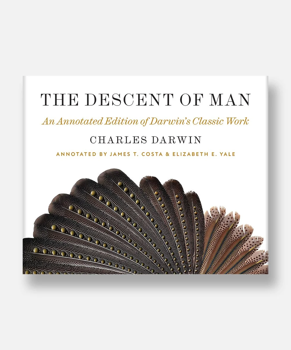  Jacket image by Kyle Black 