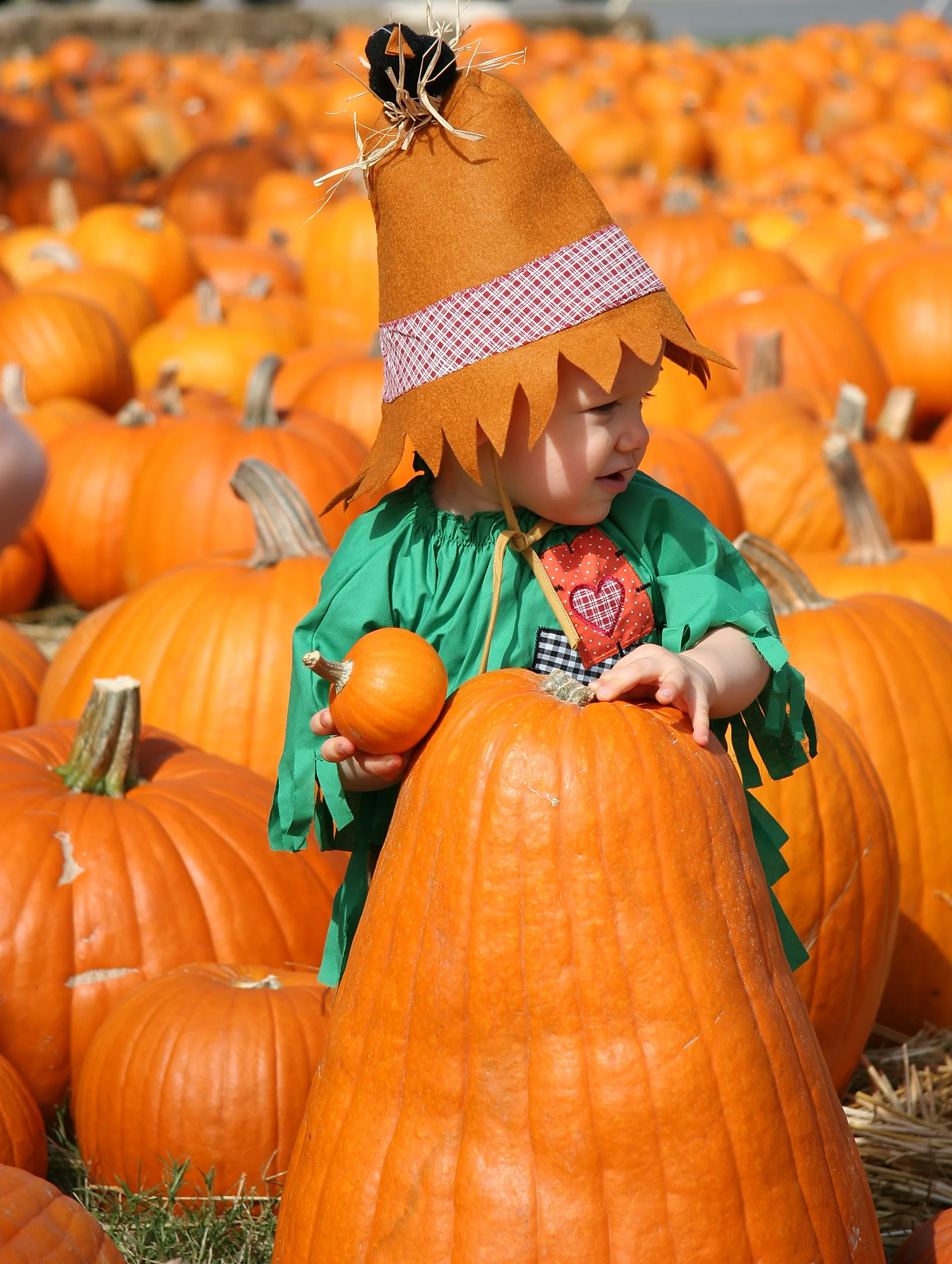 PumpkinPatch01.jpg