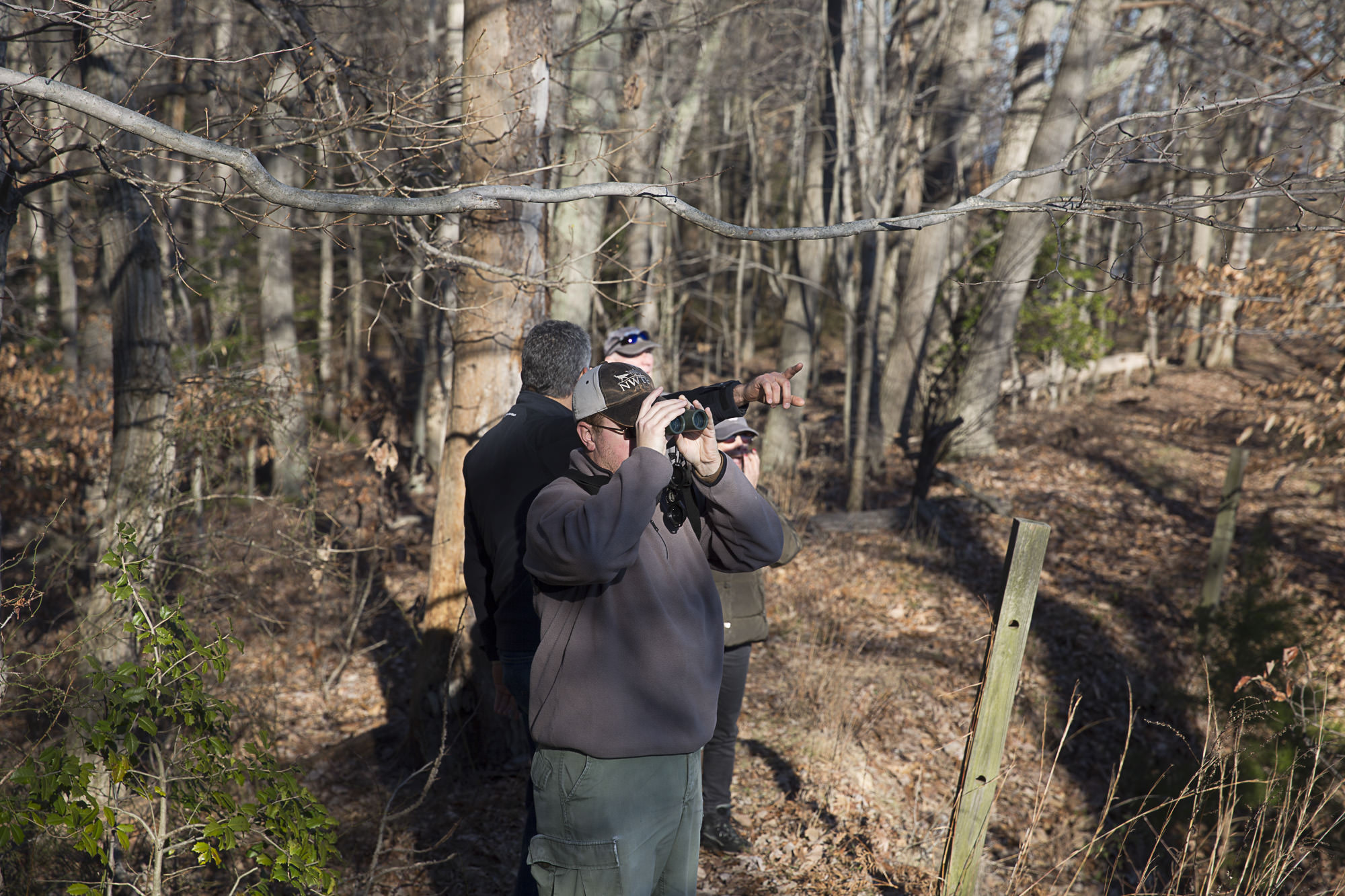 BirdCount_22.jpg