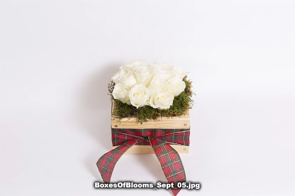 BoxesOfBlooms_Sept_05.jpg