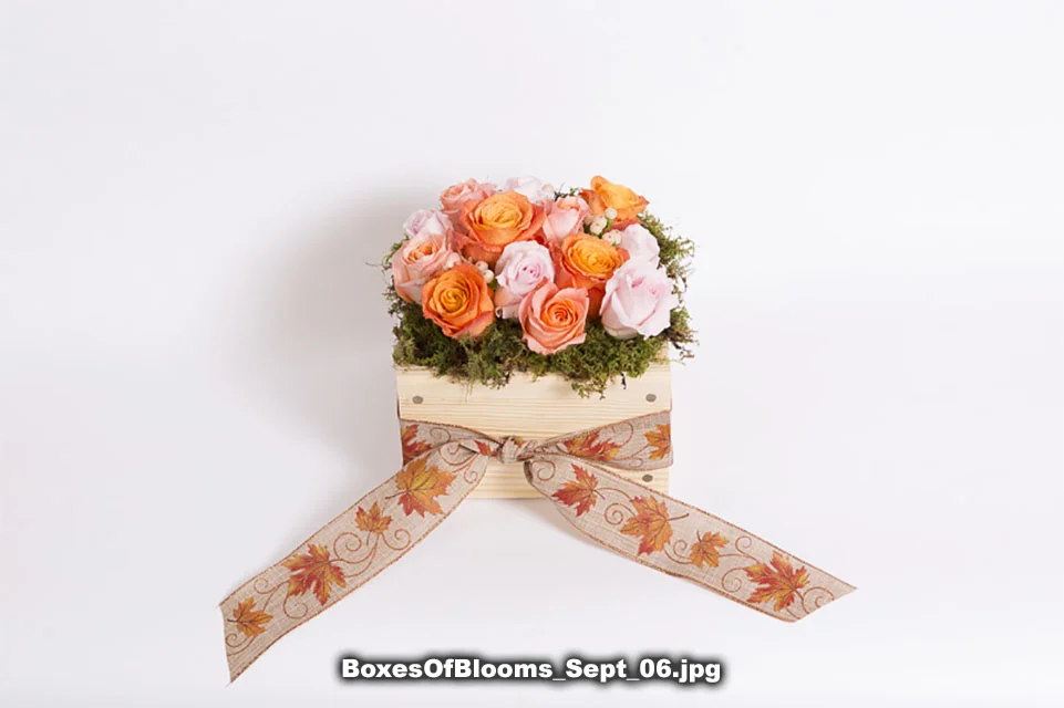 BoxesOfBlooms_Sept_06.jpg