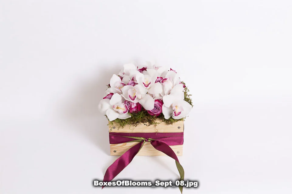 BoxesOfBlooms_Sept_08.jpg