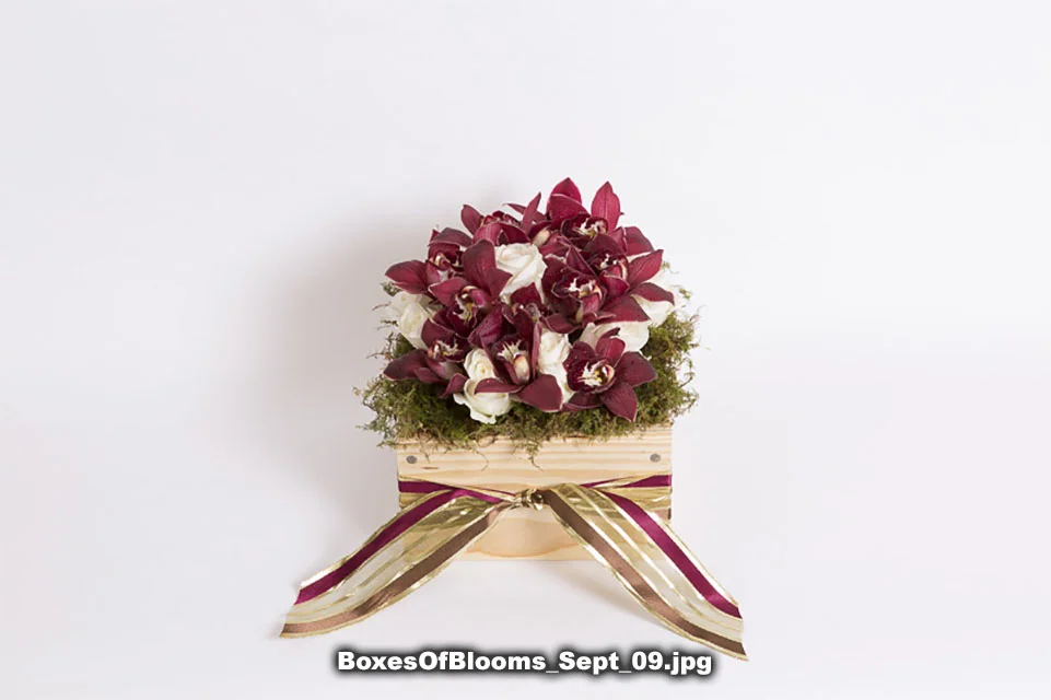 BoxesOfBlooms_Sept_09.jpg