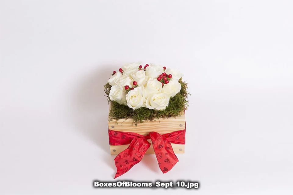 BoxesOfBlooms_Sept_10.jpg