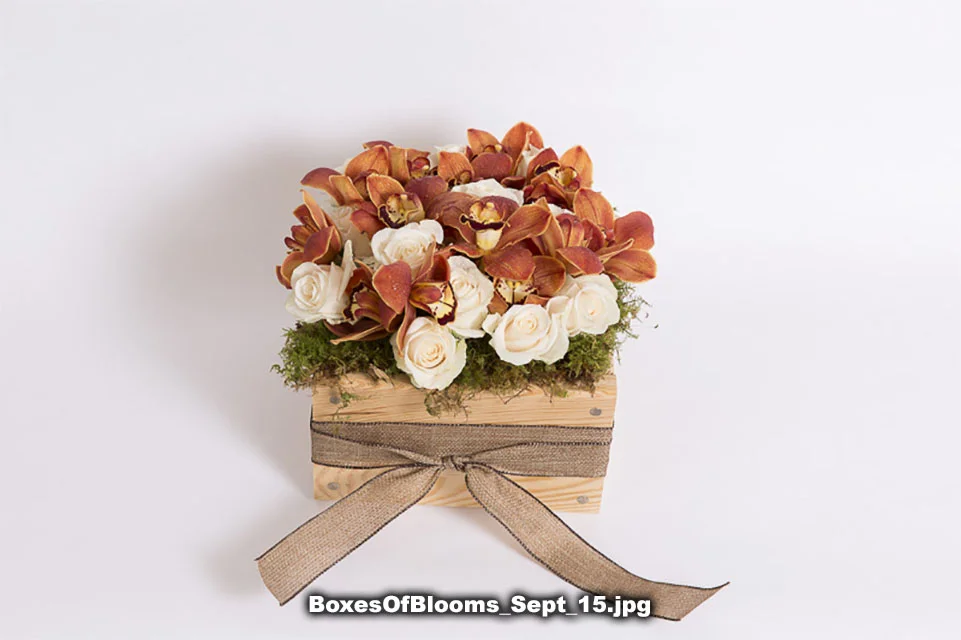 BoxesOfBlooms_Sept_15.jpg
