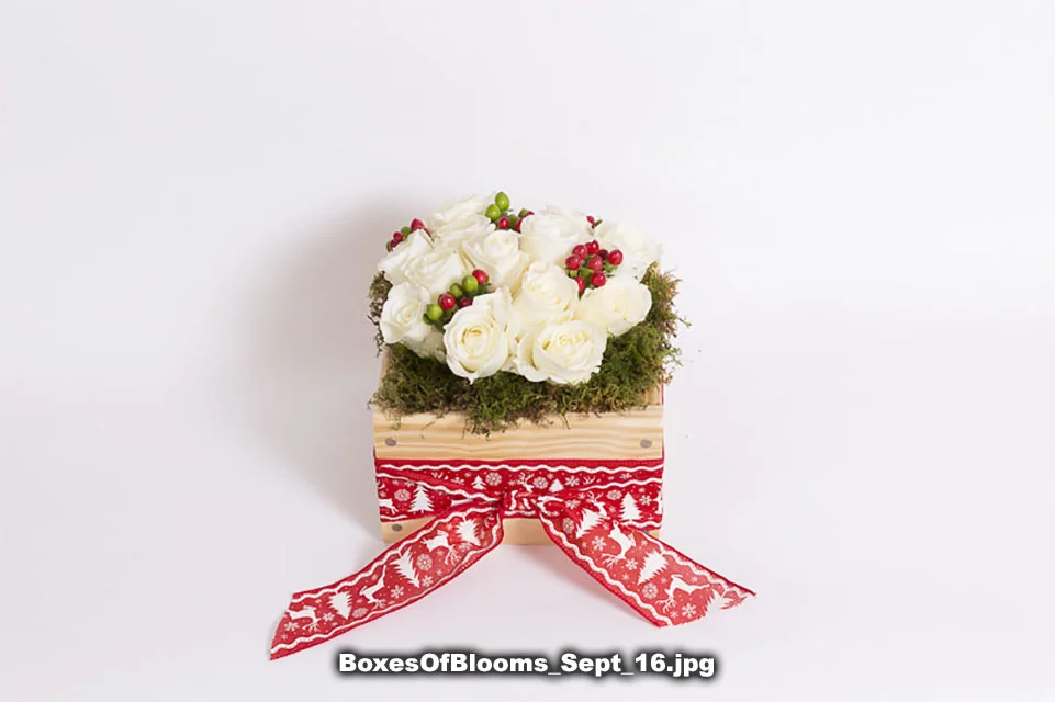 BoxesOfBlooms_Sept_16.jpg