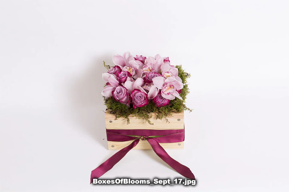 BoxesOfBlooms_Sept_17.jpg