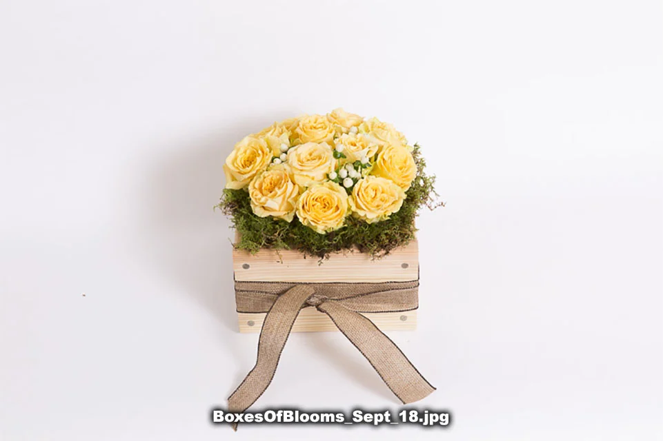 BoxesOfBlooms_Sept_18.jpg