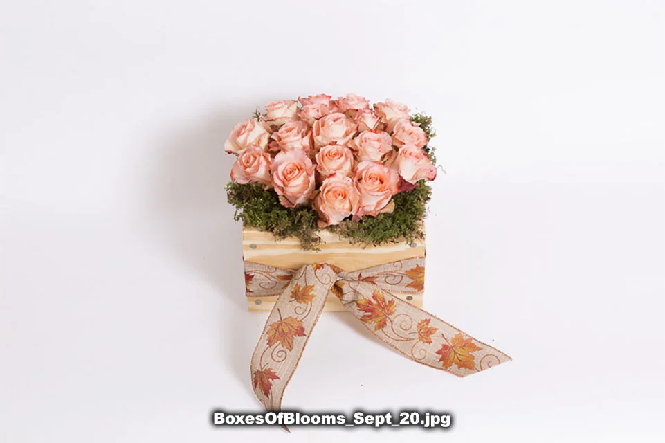 BoxesOfBlooms_Sept_20.jpg