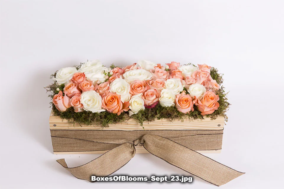 BoxesOfBlooms_Sept_23.jpg
