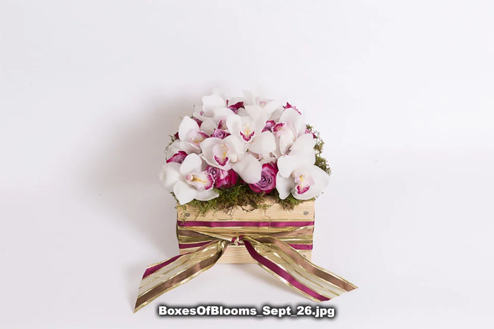 BoxesOfBlooms_Sept_26.jpg
