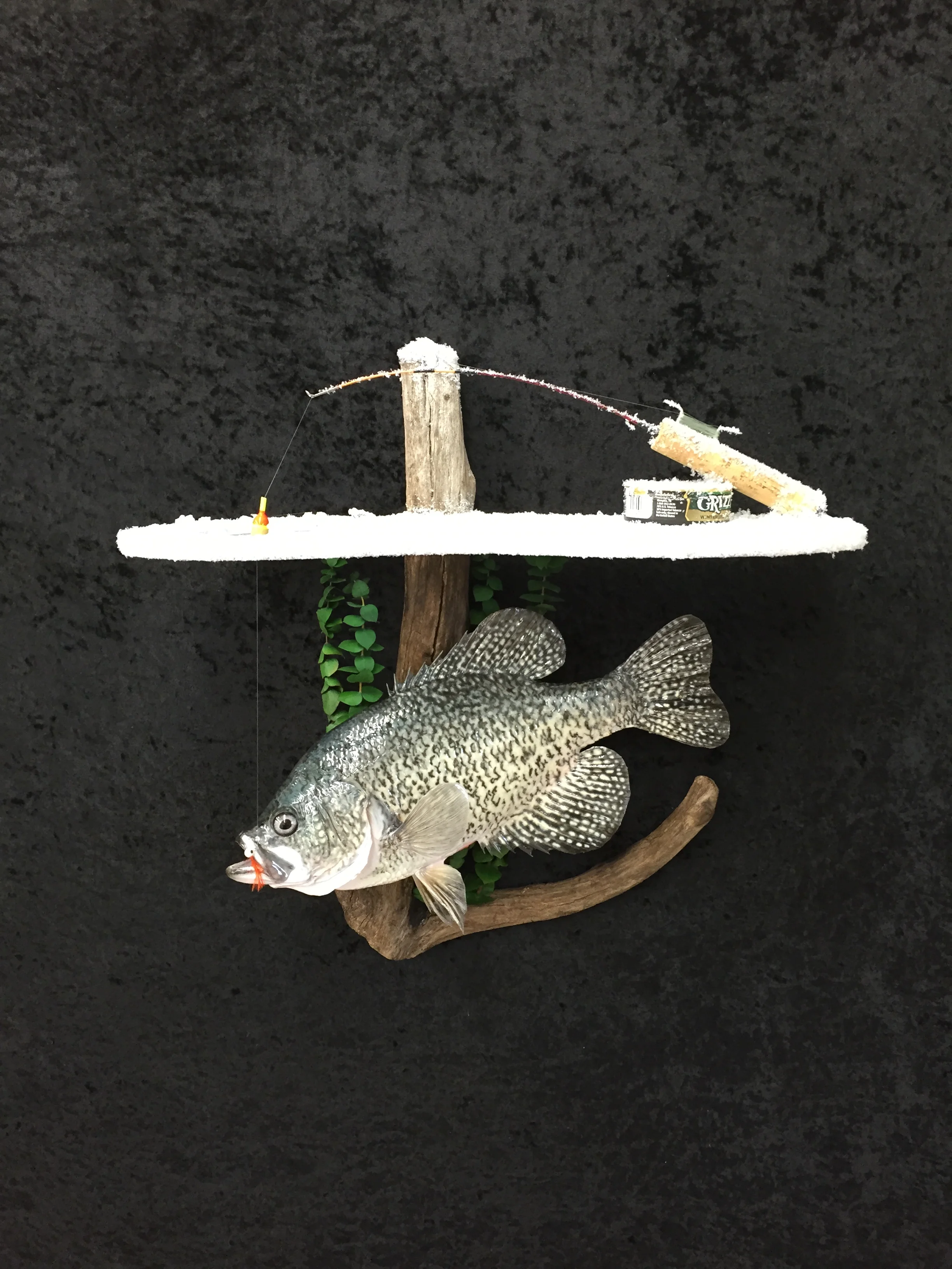 Crappie-2.JPG