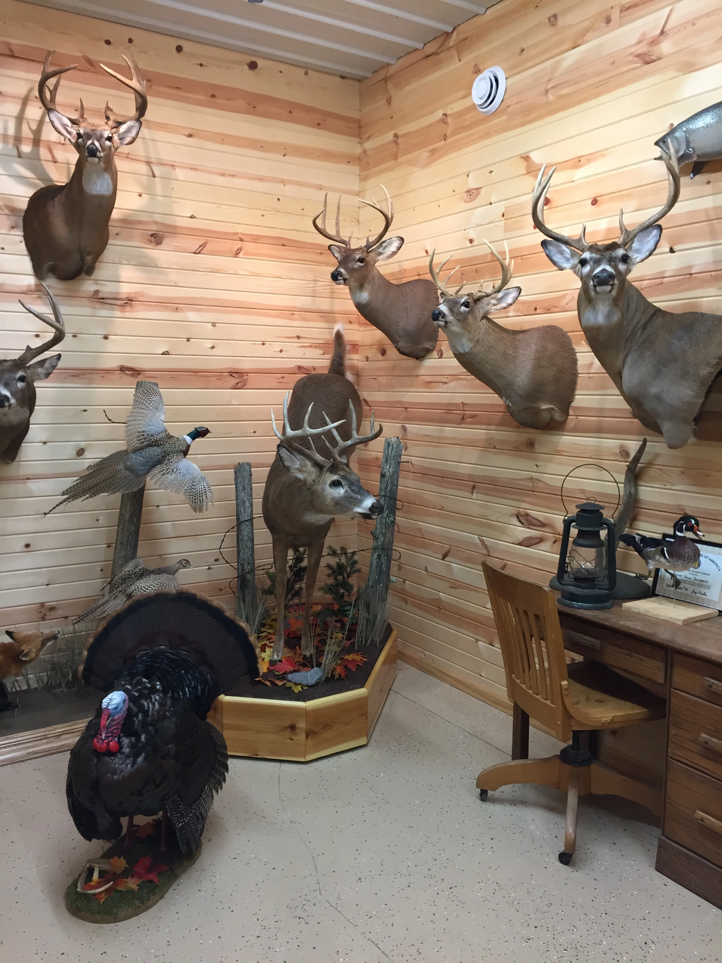 Trophy Room Taxidermy — Wisconsin Taxidermist