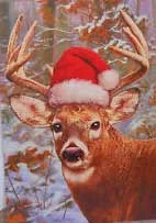 Whitetail.Deer.xmas.jpg