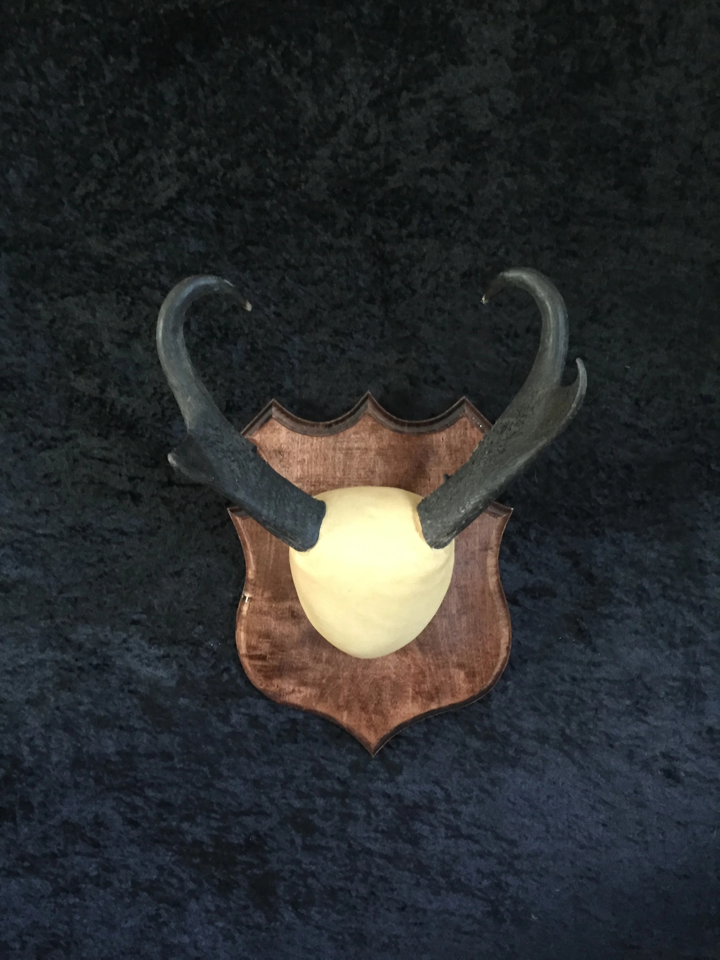 Antelope-Plaque-1.JPG