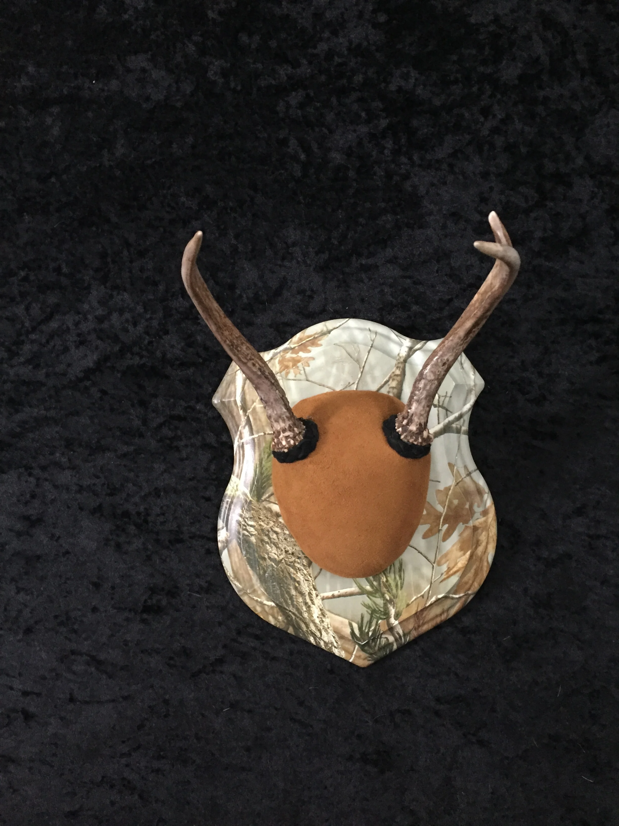 Whitetail-Antler-Plaque-3.JPG
