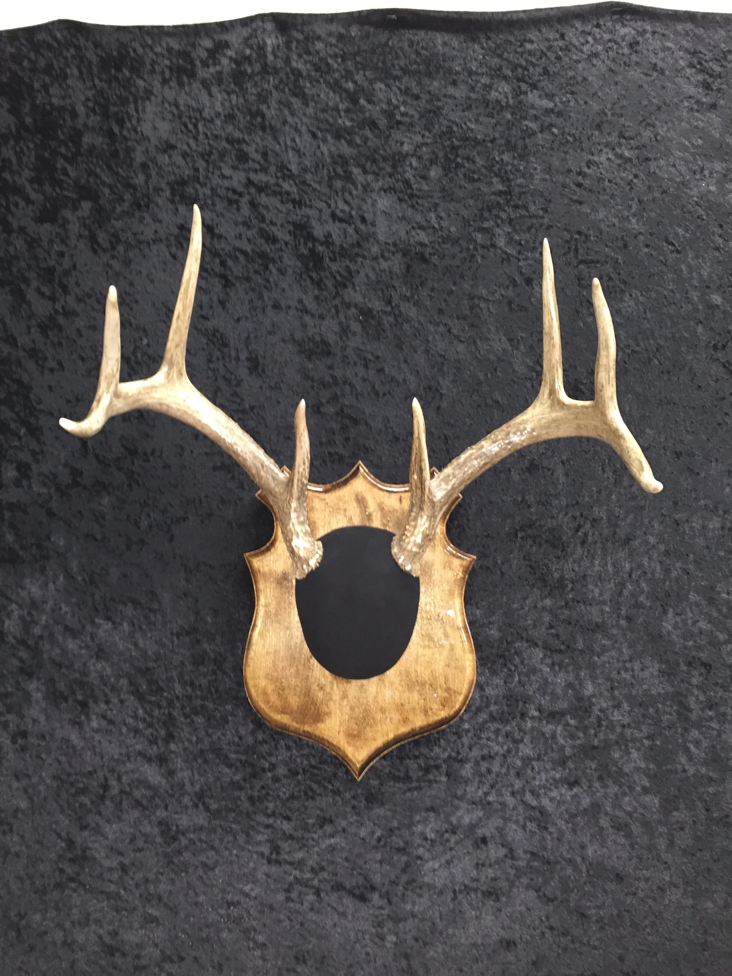 Whitetail-Antler-Plaque-2.JPG