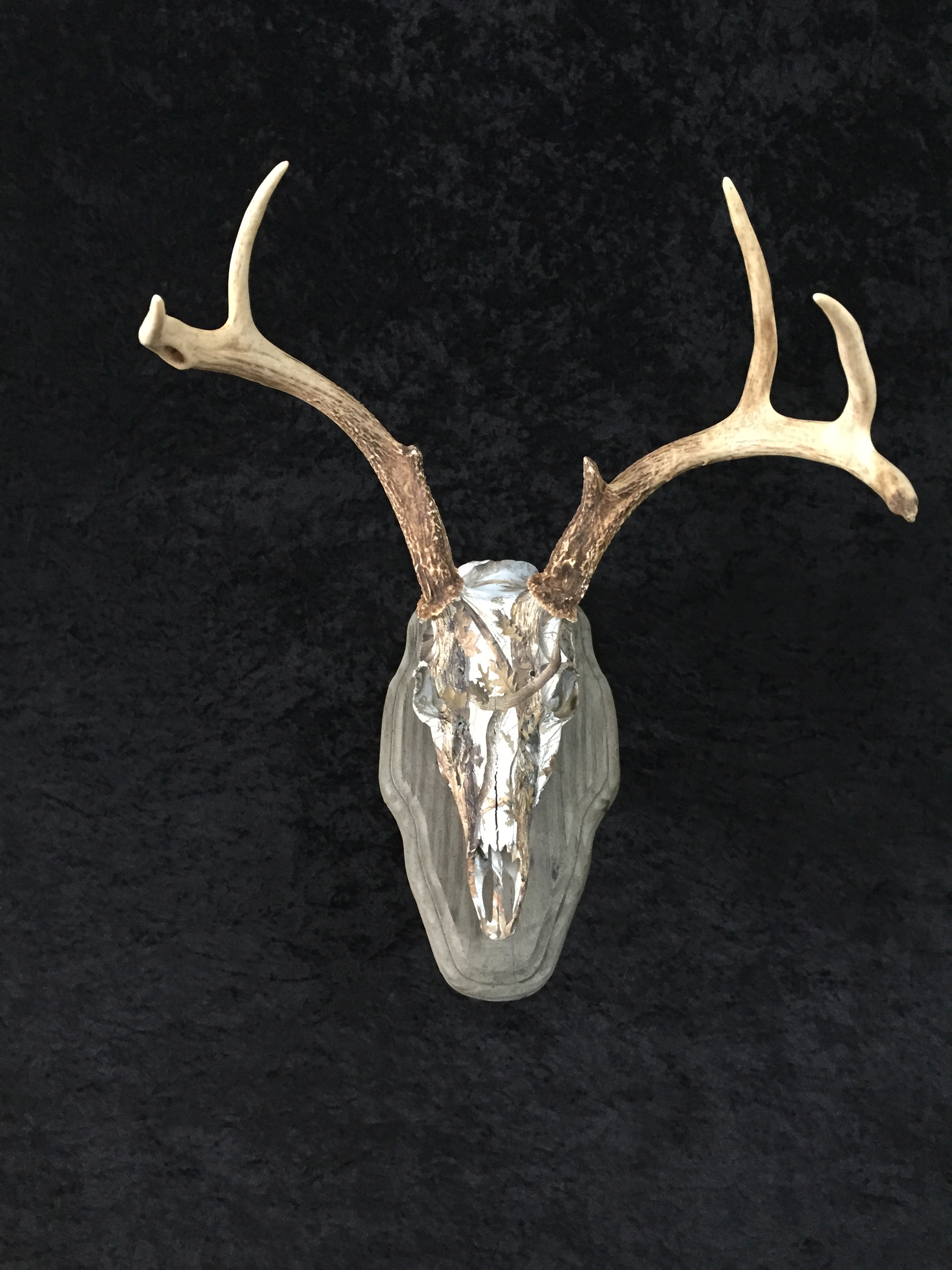 Whitetail-Europen-Hydro-Dip-Antler-Plaque-1.JPG