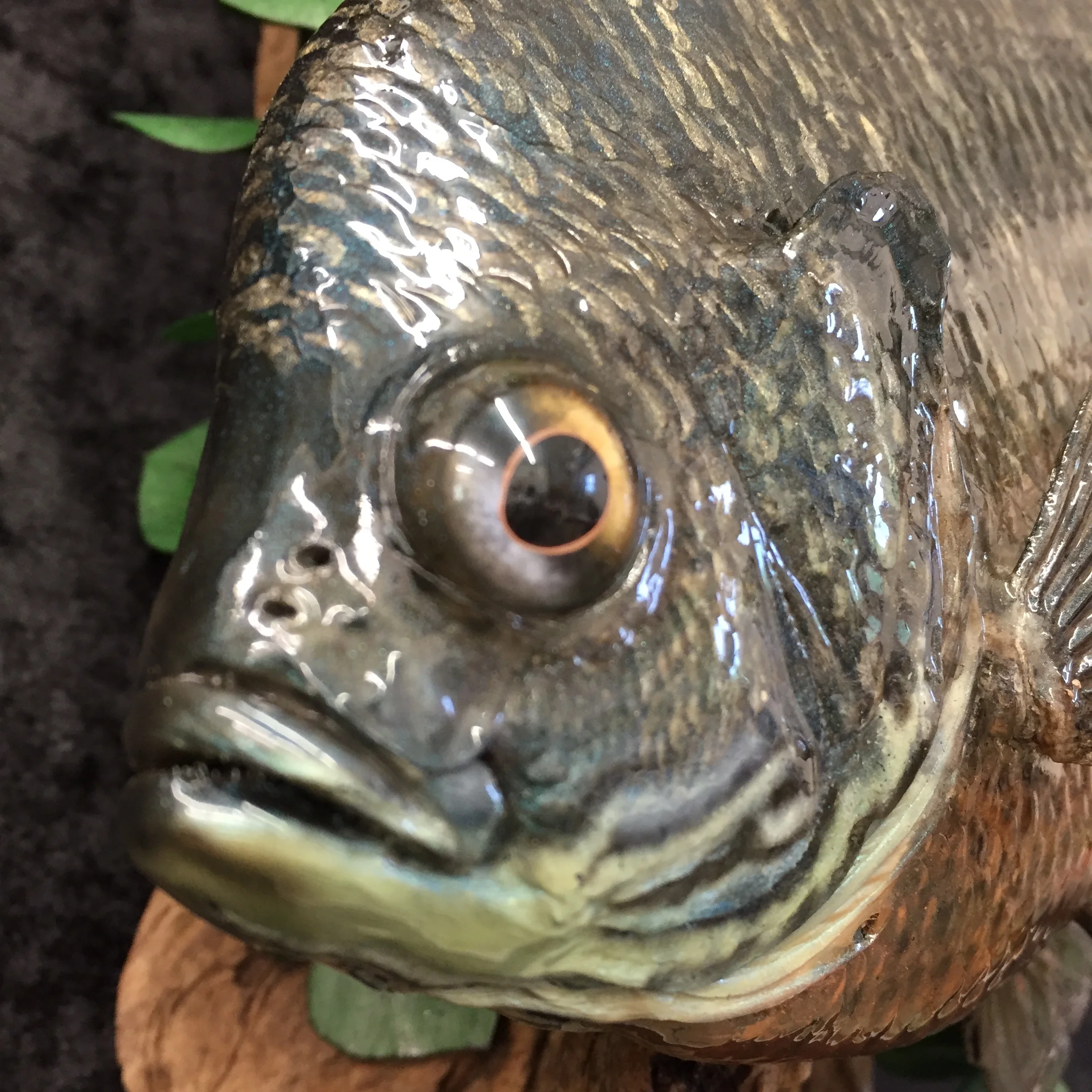 Bluegill-5.JPG