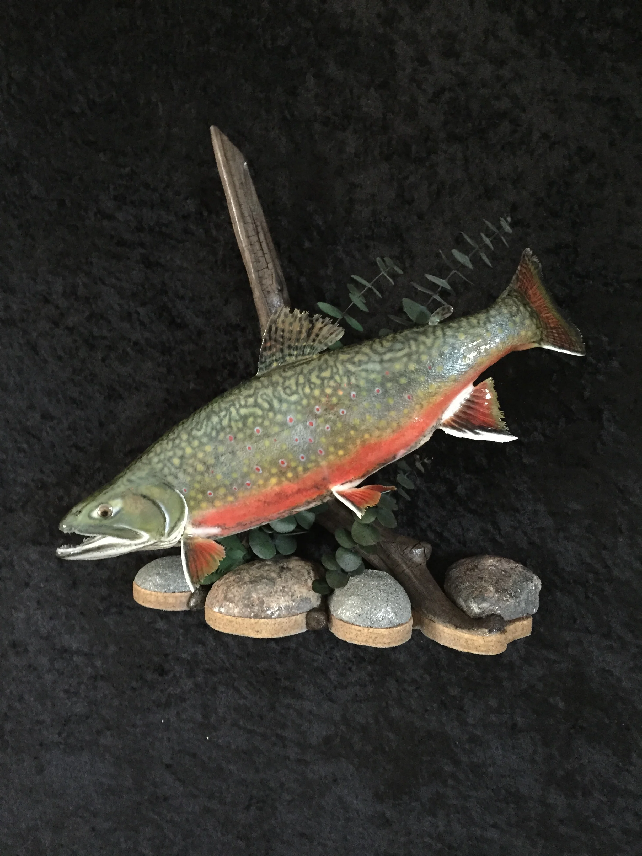 Trout-1.JPG
