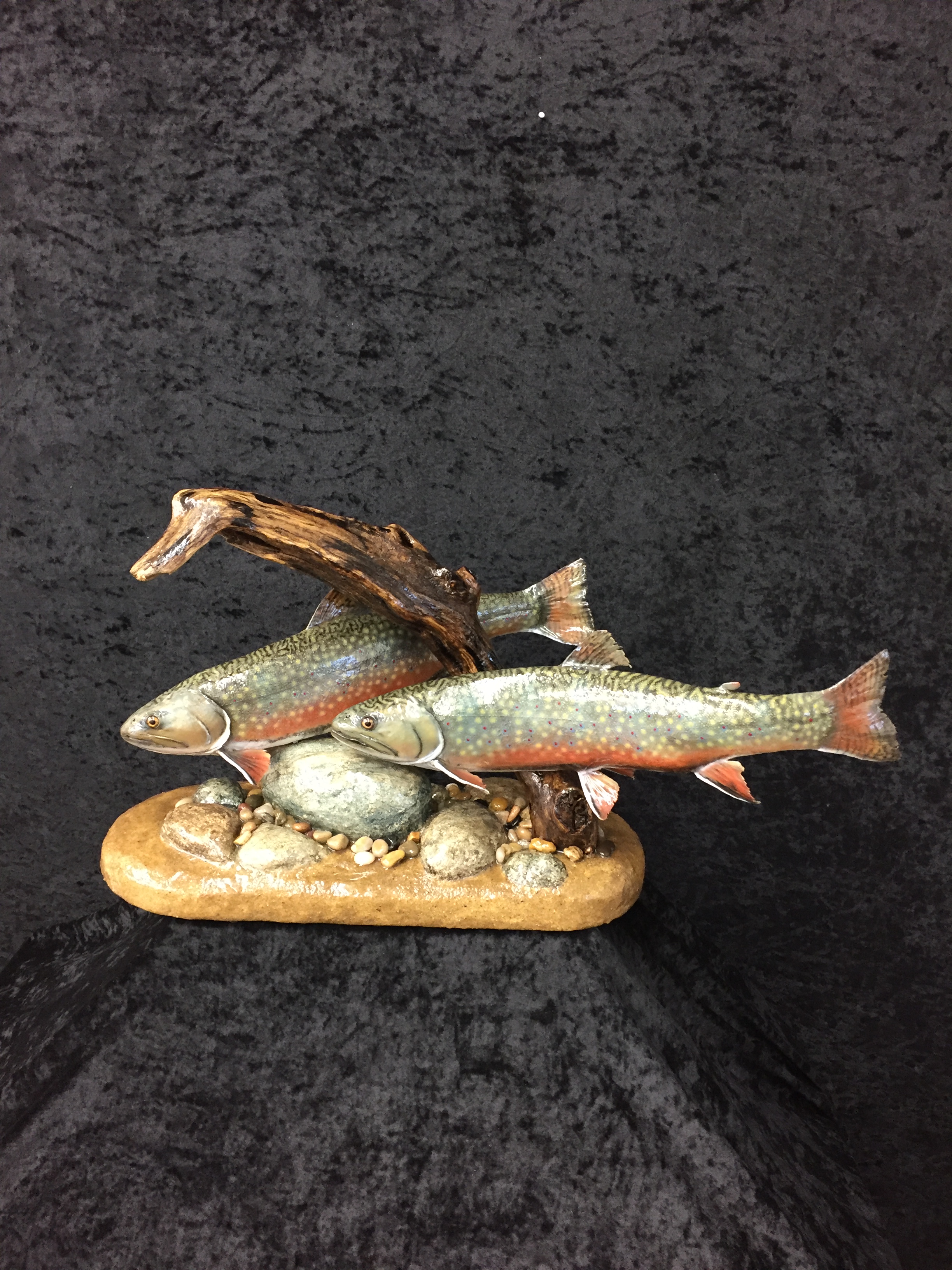 Trout-5.JPG