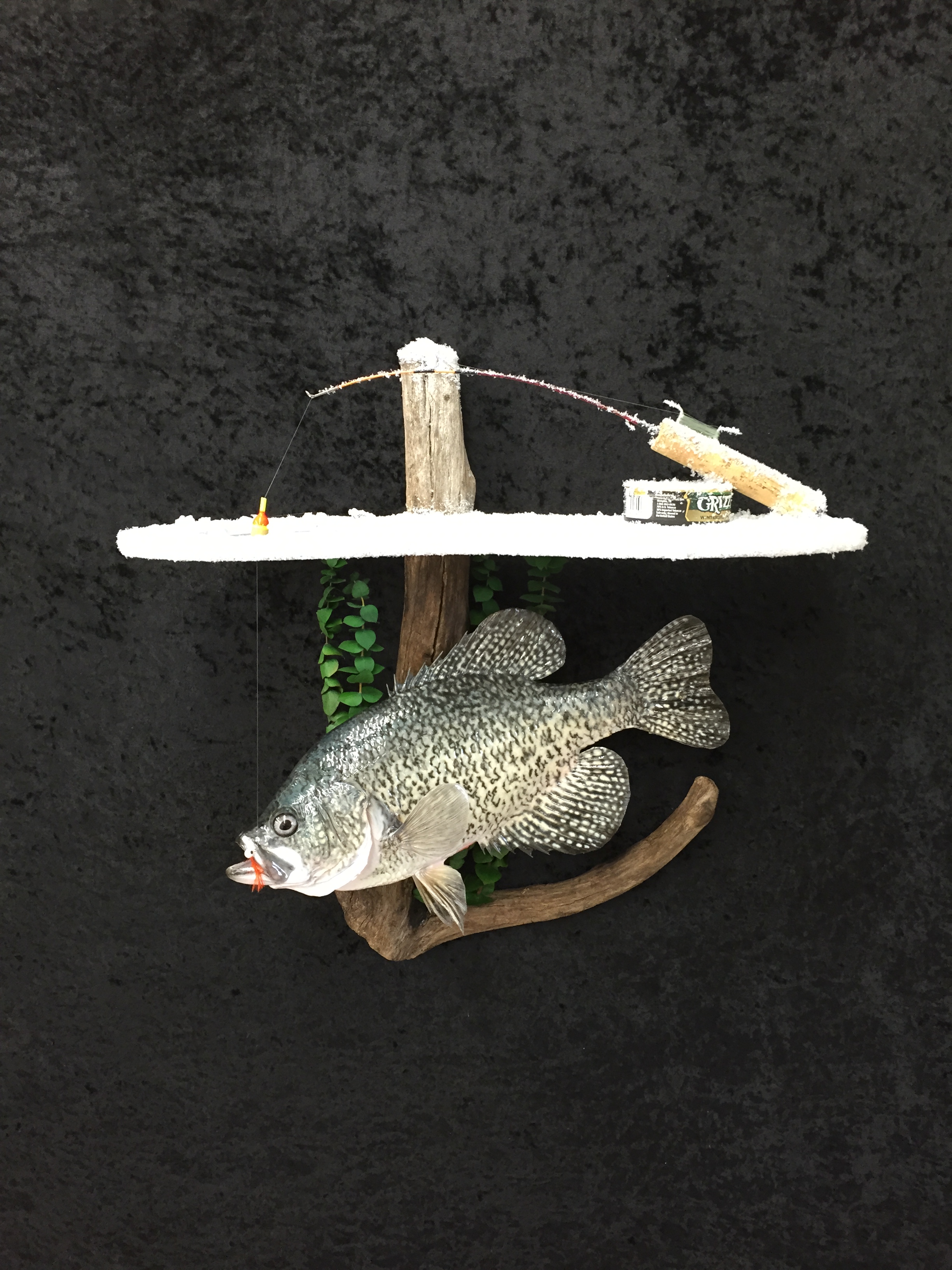 Crappie-2.JPG