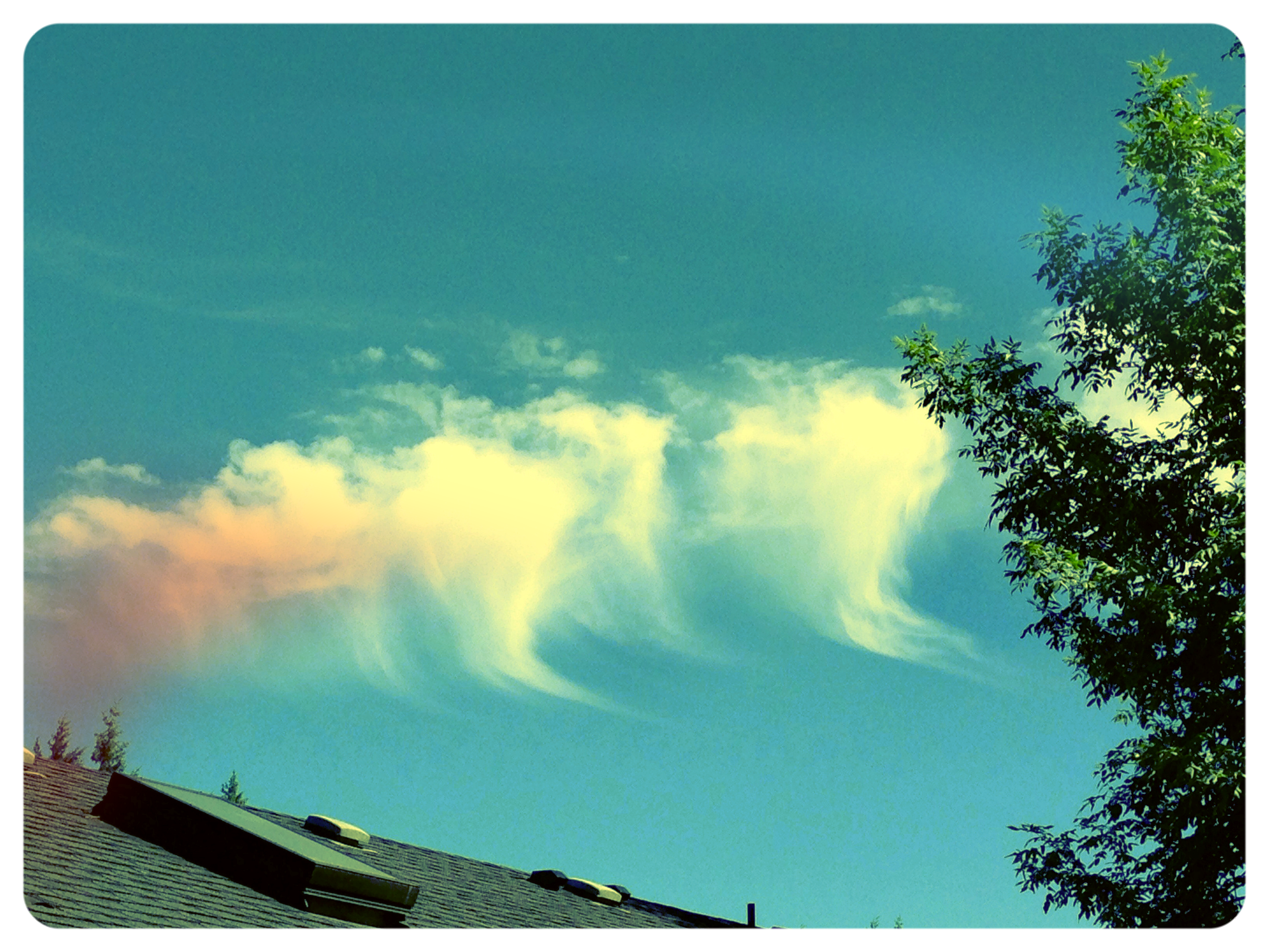 &nbsp;We all see what we want to see.&nbsp; I see that love is love.