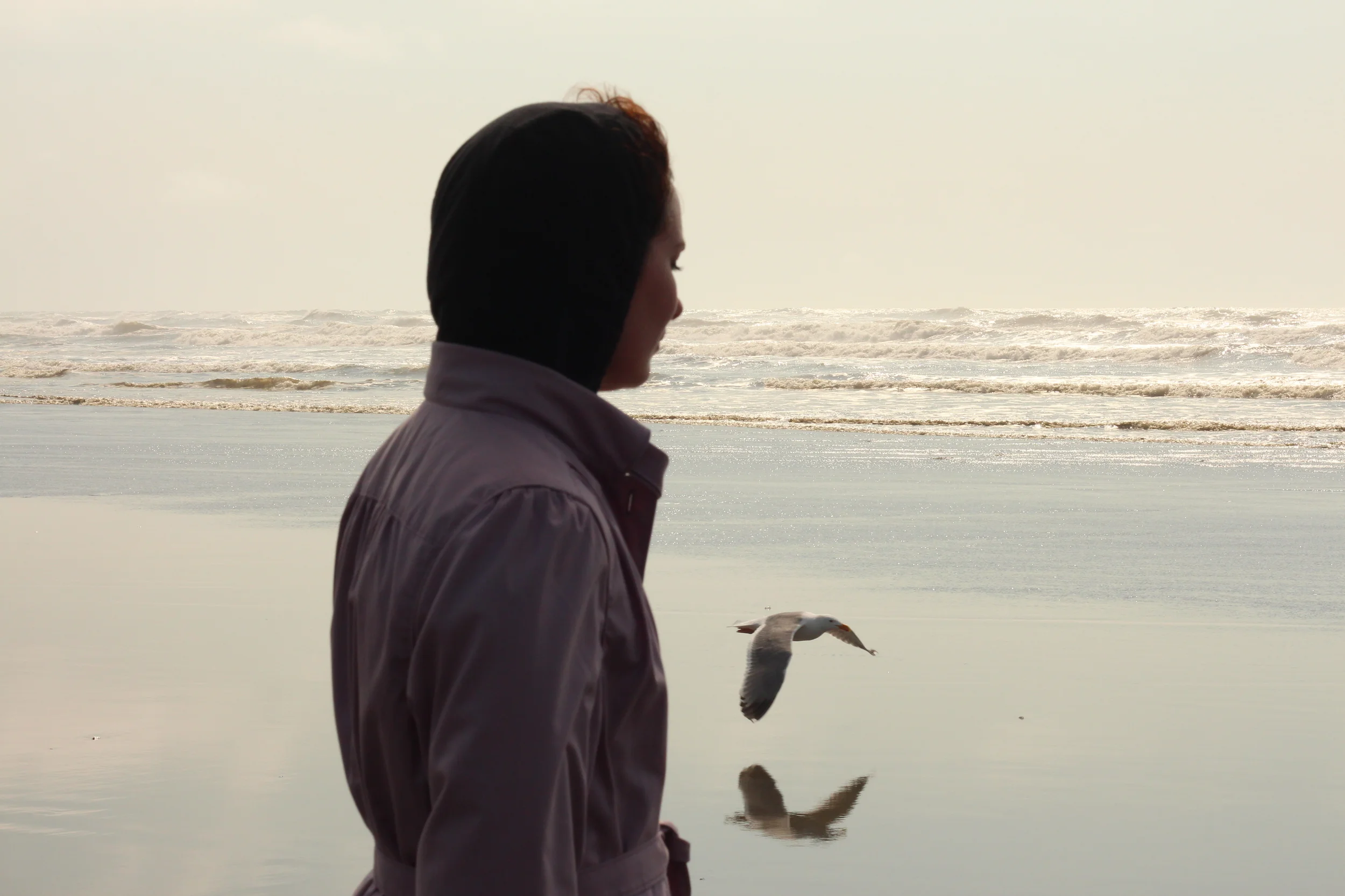 Bird. Shore. Reflection