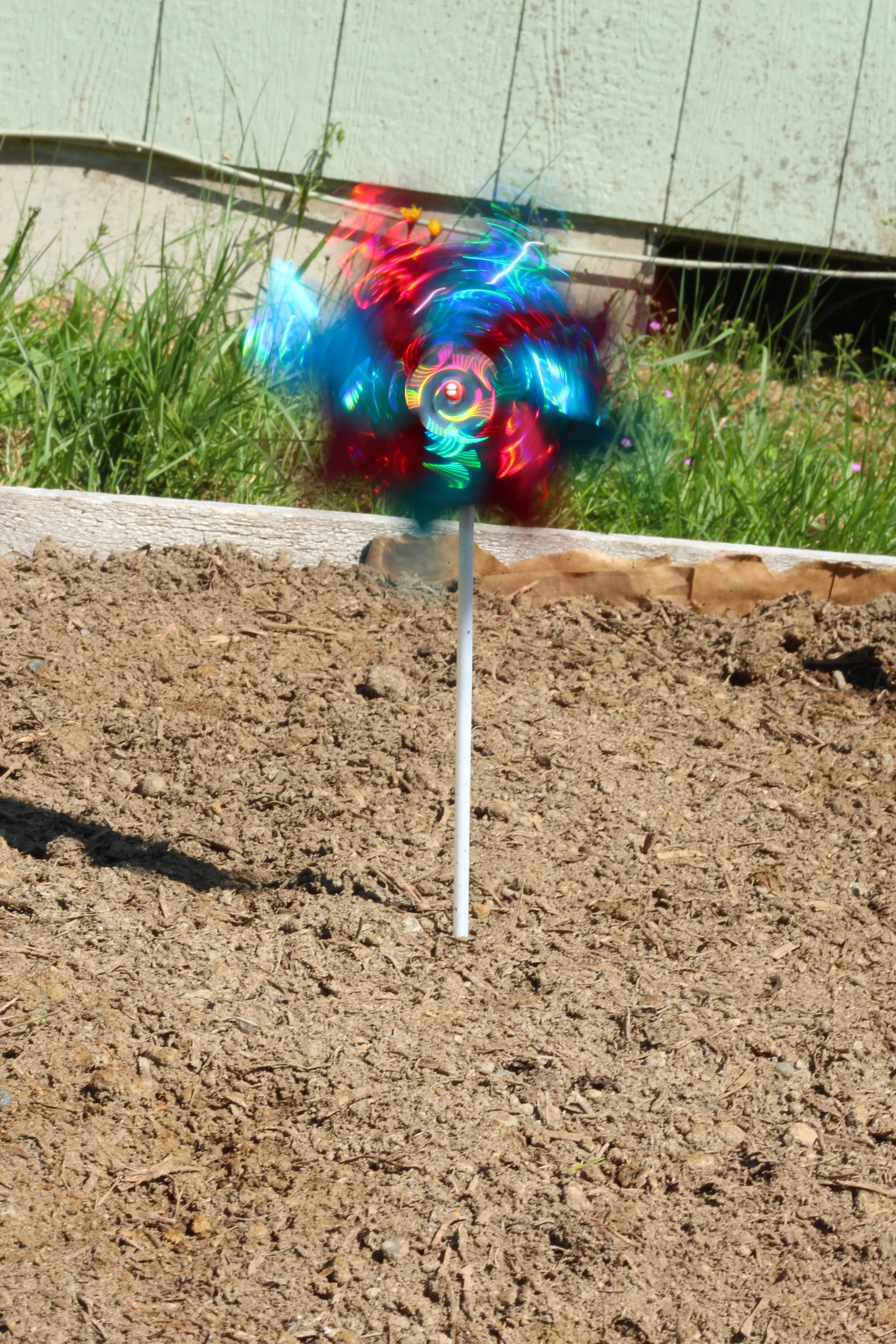 Wind, Motion and Color