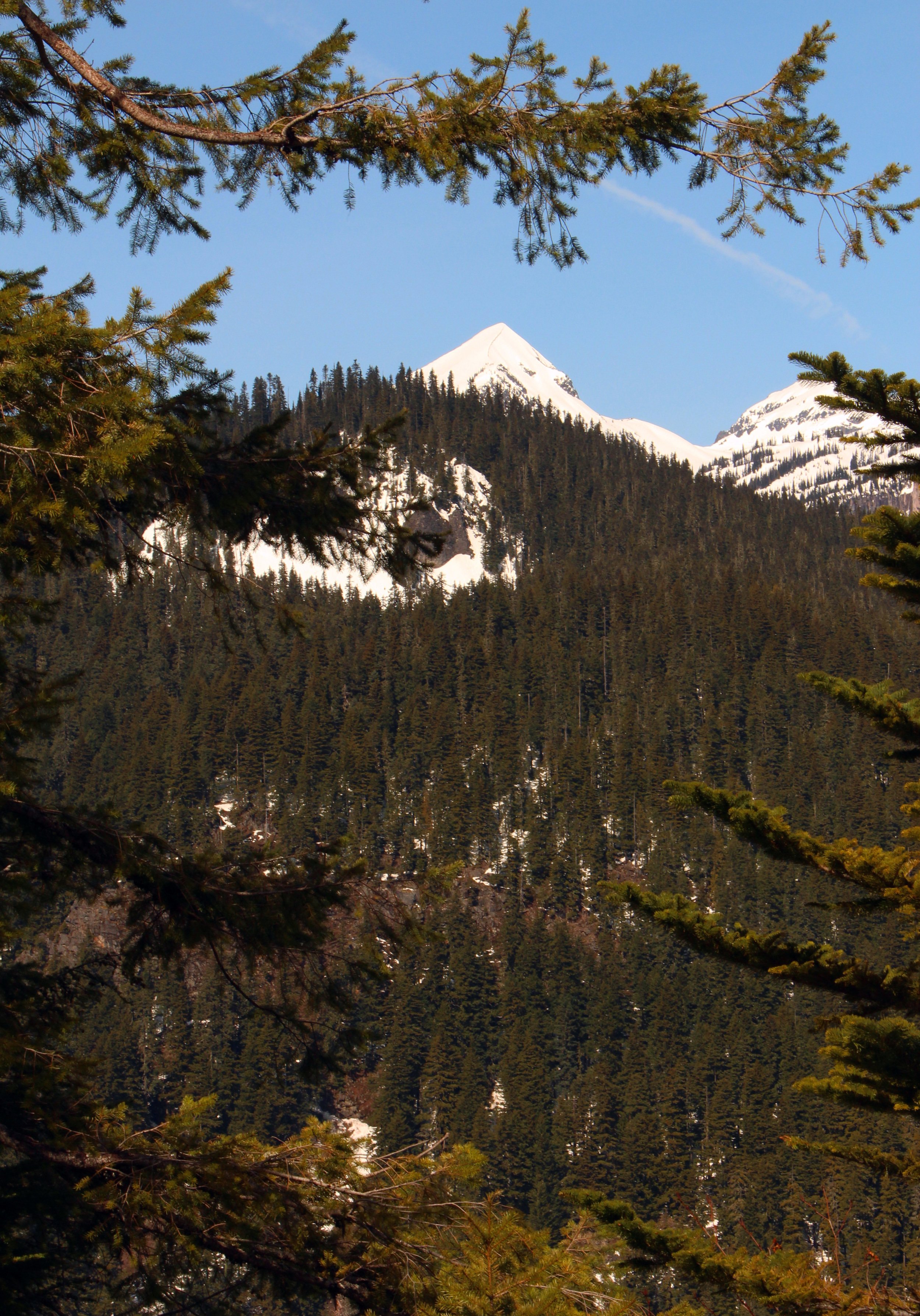 Mount Rainier National Park, WA