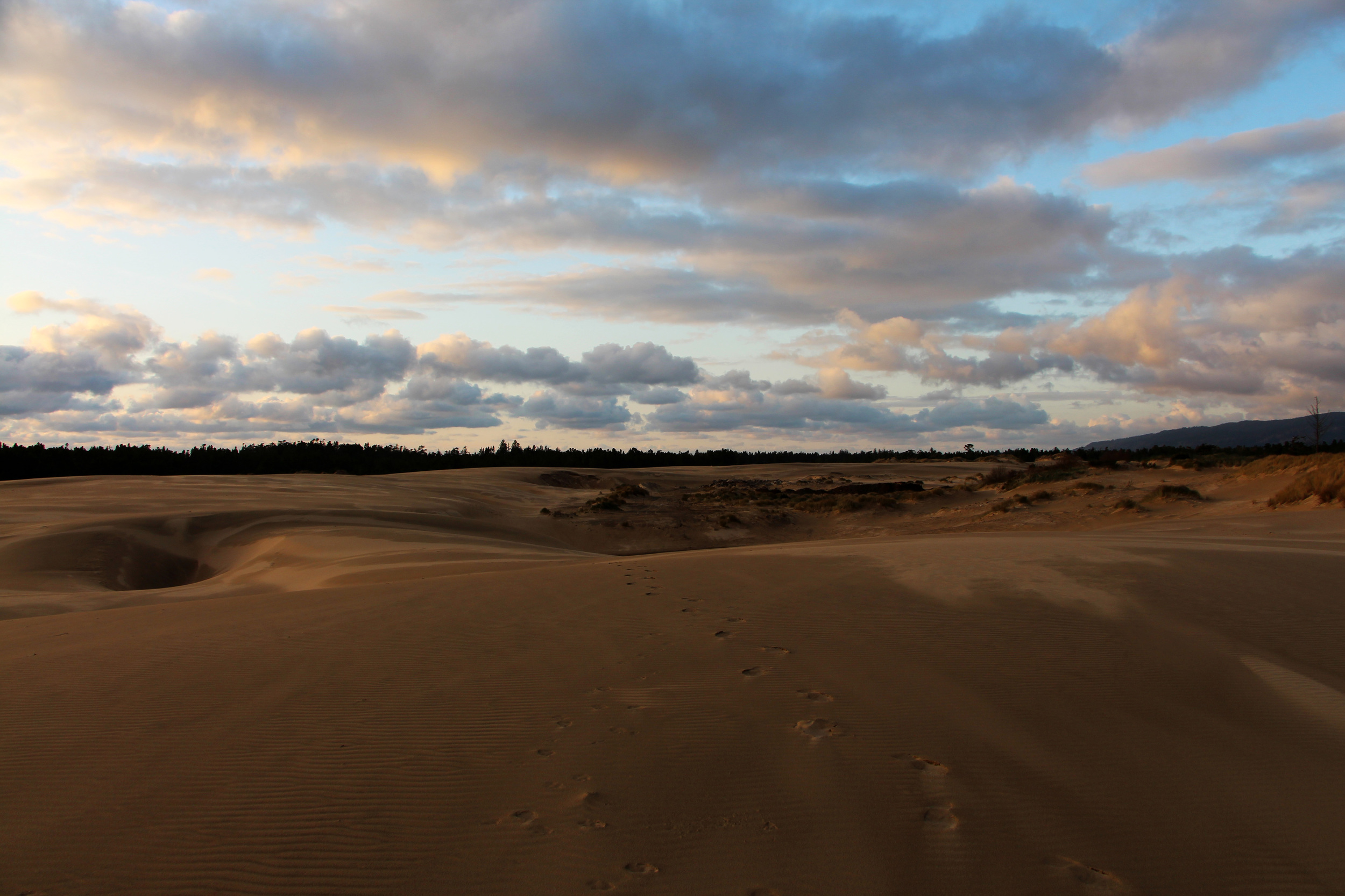 Sand Dunes National Park, OR 