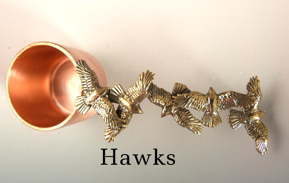 FI Hawks.jpg