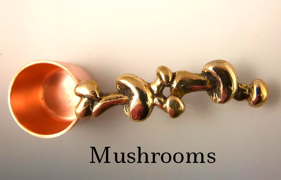 Mushrooms.jpg