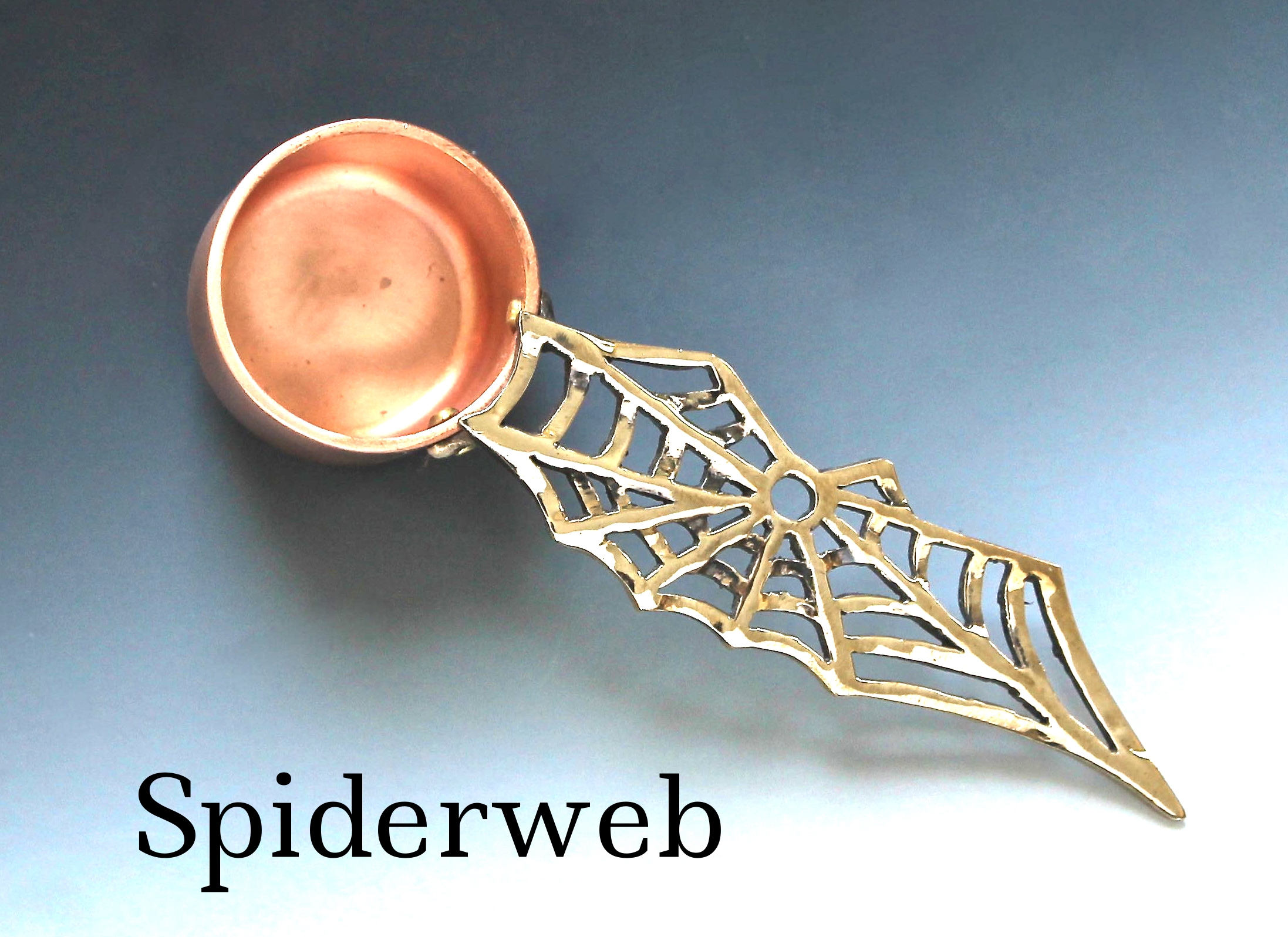 Spiderweb cofffeescoop.jpg