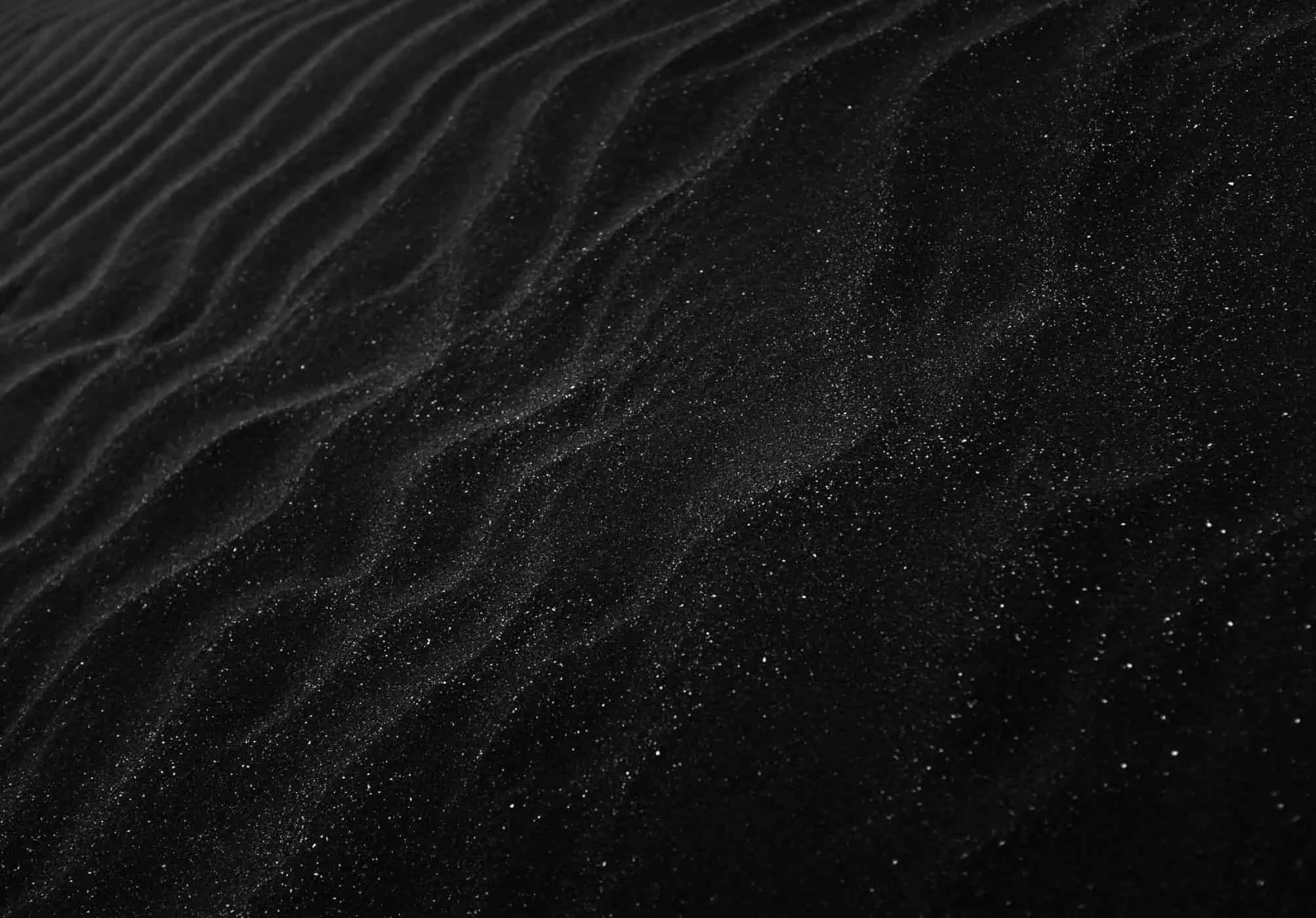Black Friday header-min.jpg