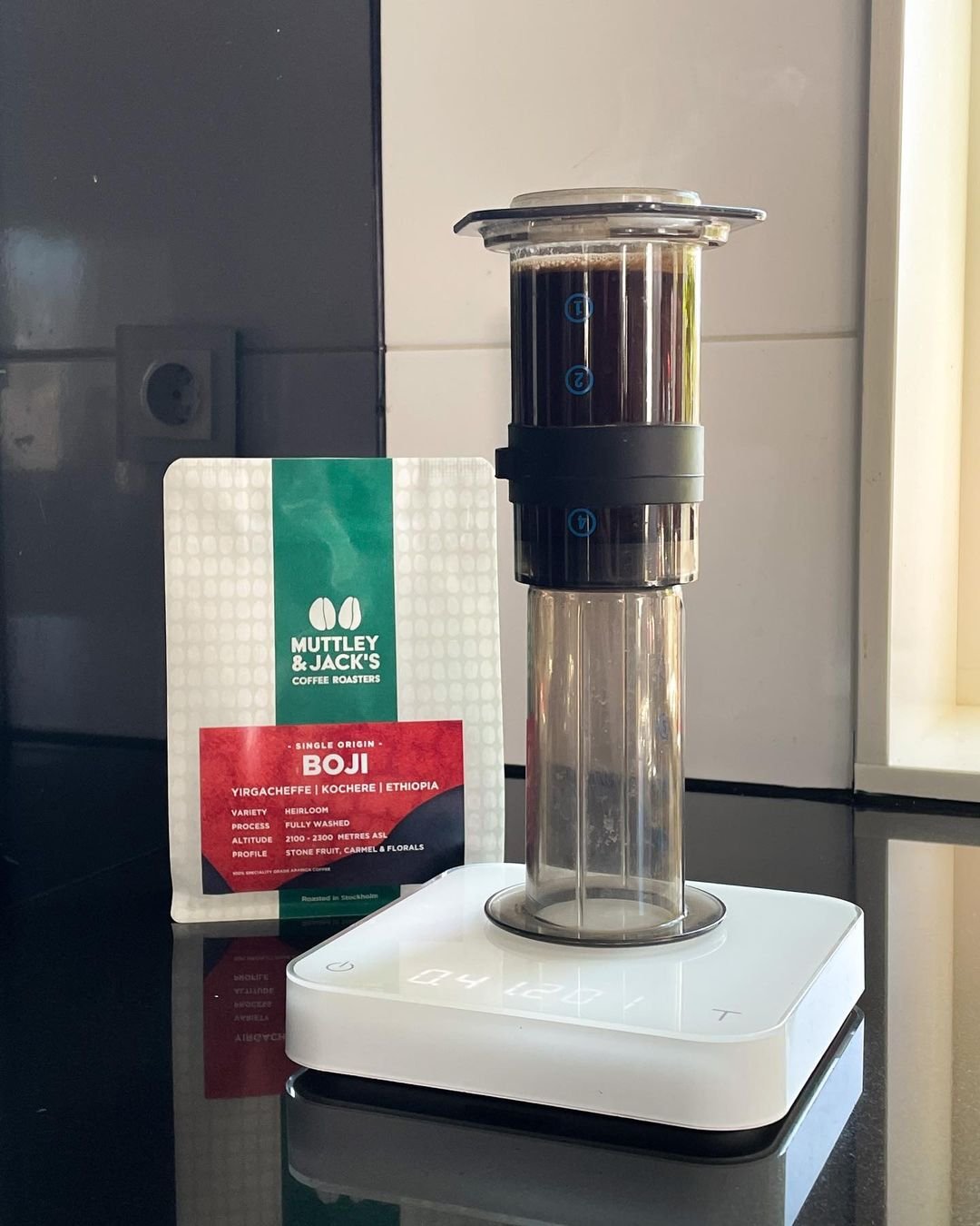 New Superior 12 Cup Coffee Pot Commercial Glass Pot Bun Regular 