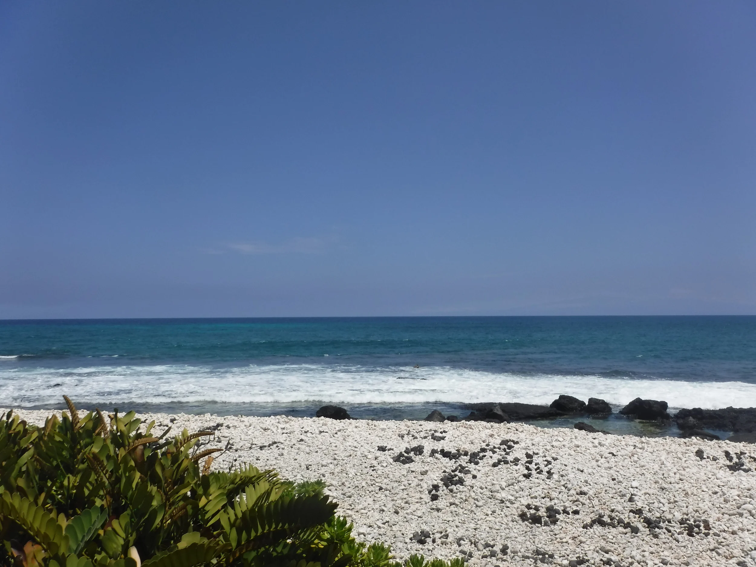 Knit Actually Podcast Episode 38