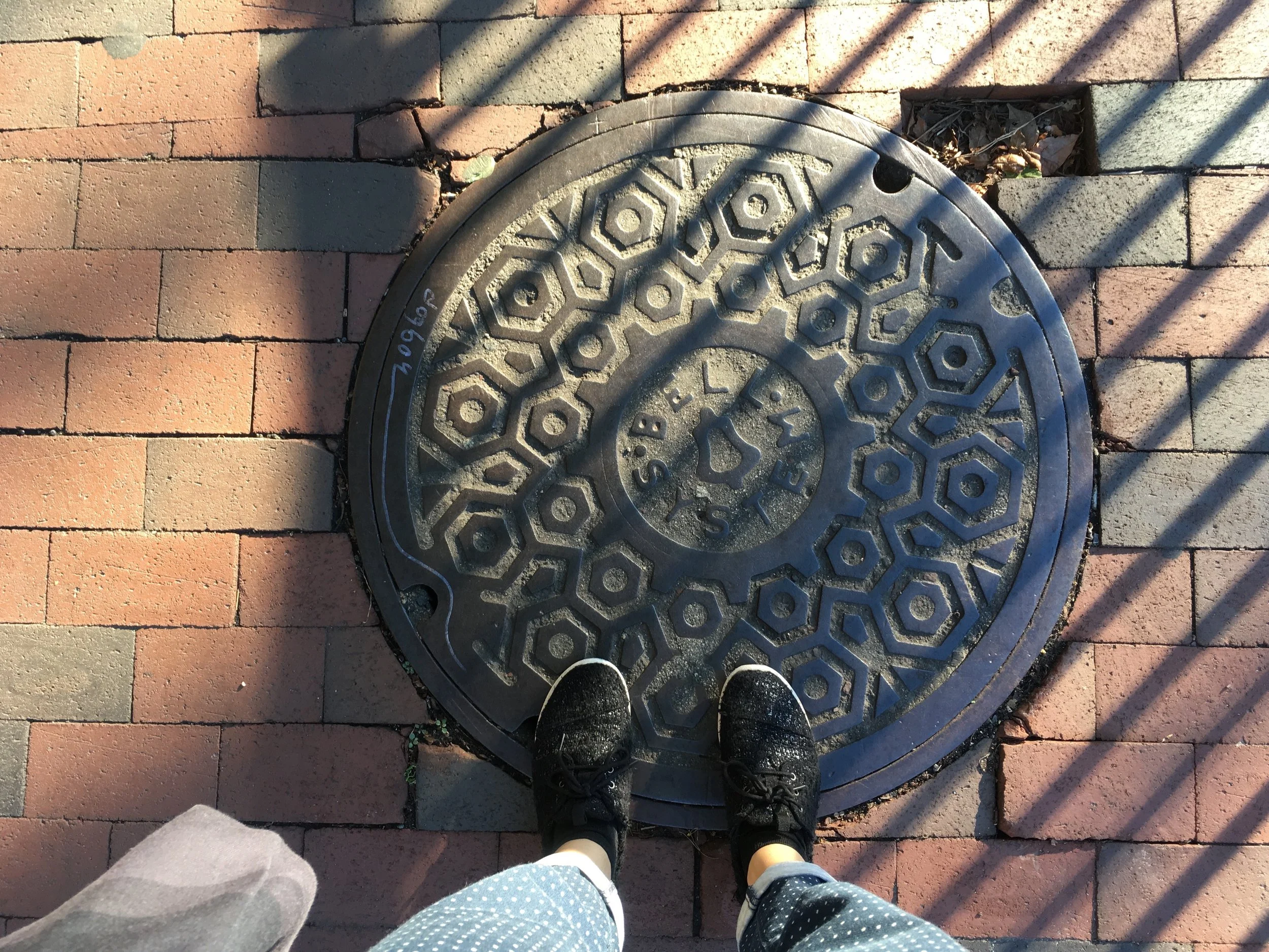 Harvard Boston MA.jpg