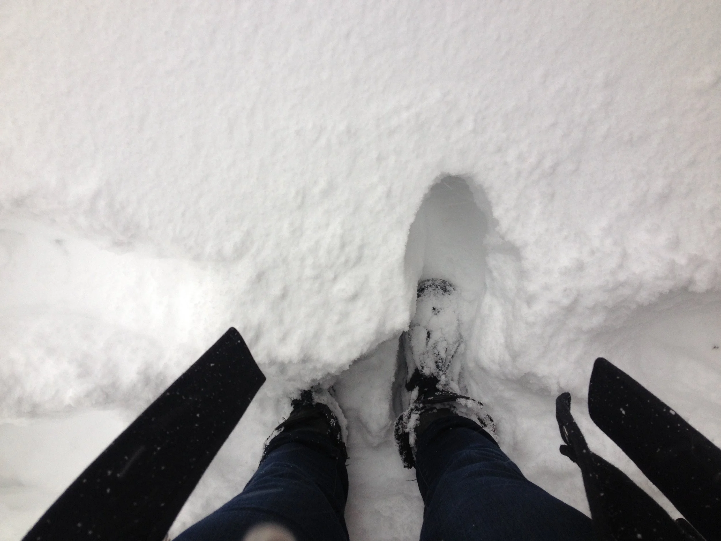 NY Blizzard2016.jpg