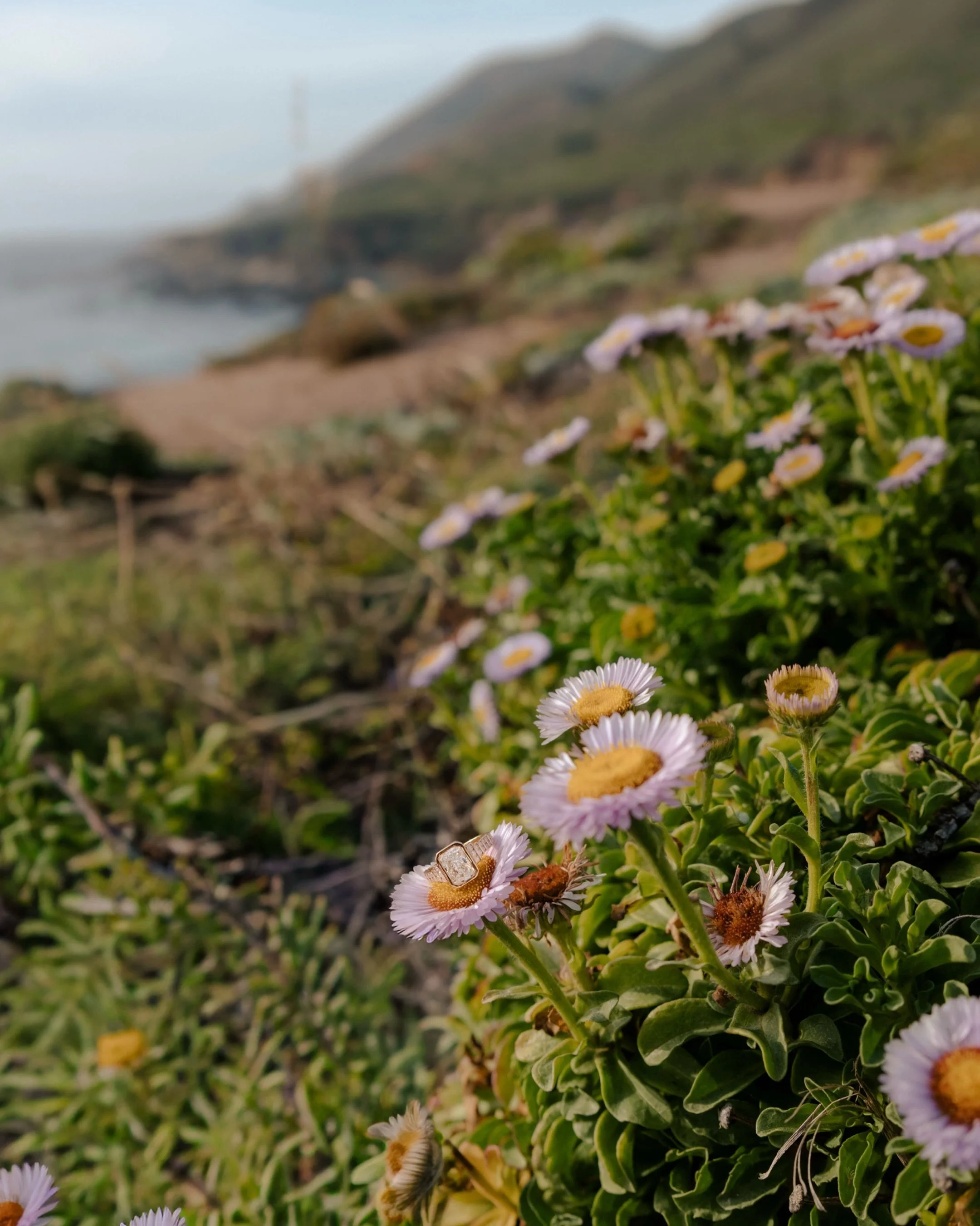 He picked Big Sur. I picked the spot &hellip;another surprise&hellip;somewhere they&rsquo;d never been. 
She said yes before he even finished the question. 🌊💍

The wildflowers. That ring. This coast. I can&rsquo;t.

📍 Big Sur, CA

Big Sur &middot;